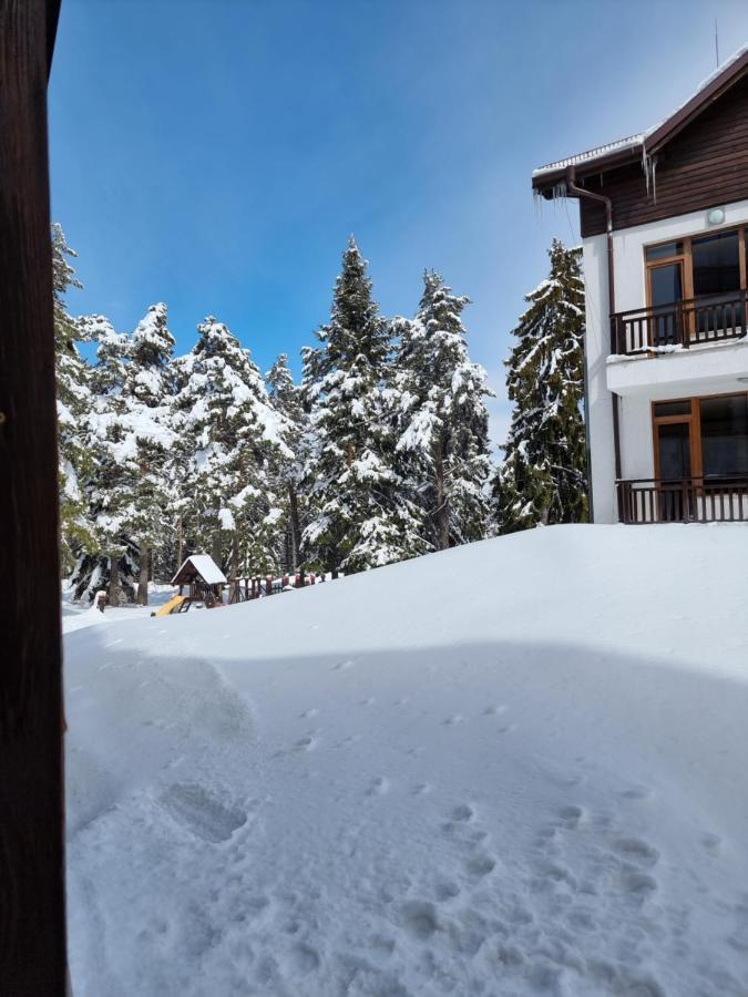 Borovets Ski&Spa Studio - Semiramida Garden A16 Exterior photo
