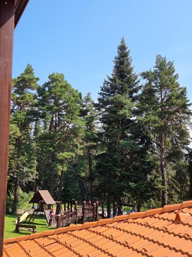 Borovets Ski&Spa Studio - Semiramida Garden A16 Exterior photo